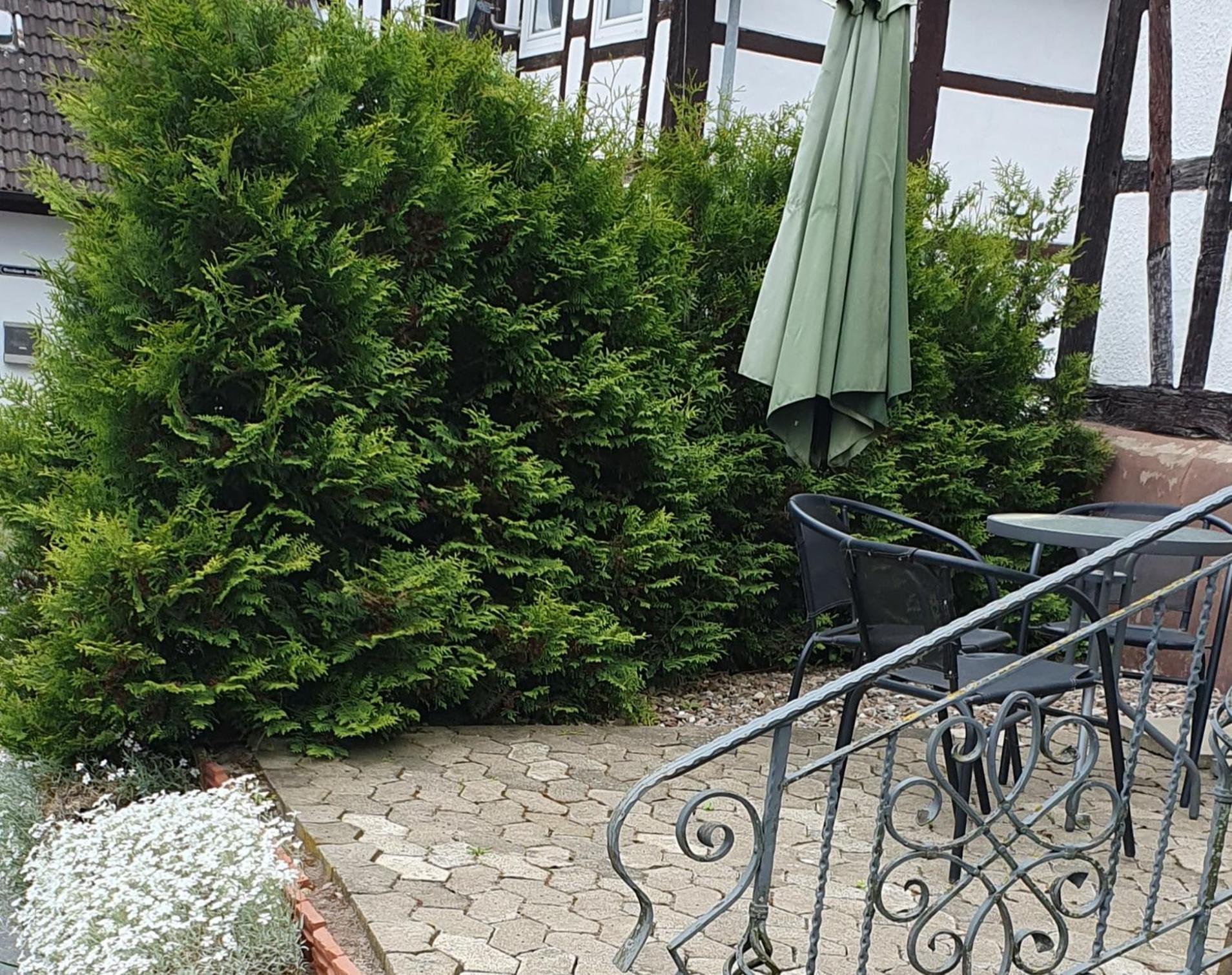 Apartment Am Schloß *
